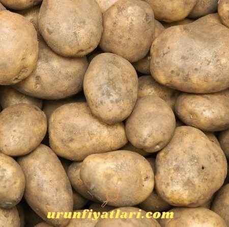 Bim Patates Fiyatı 2021