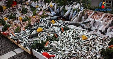 İstanbul balık hal fiyatları